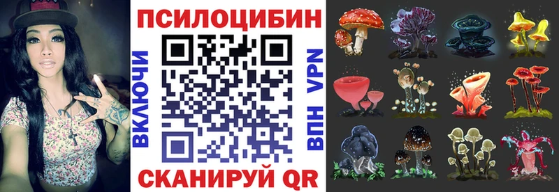 где купить наркоту Сальск это формула Галлюциногенные грибы Magic Shrooms
